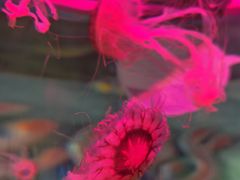 -横店影视城梦幻谷园区