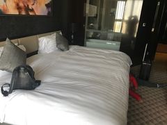 -常州环球恐龙城维景国际大酒店