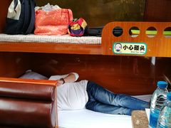 -崇明东平国家森林公园烧烤房车露营地