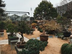 -上海醉白池公园
