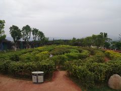 -铁山坪森林公园