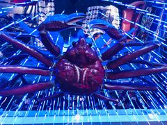 -蟹之国·精品蟹料理(极地店)