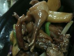 -阿鸟农庄(石壁店)