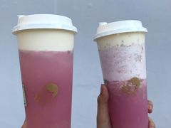 多肉粉荔-喜茶(深圳福田星河COCO Park店)