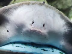 -苏州海洋馆