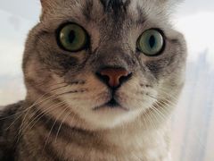 -Catmate·猫肥家润(金润铂宫店)