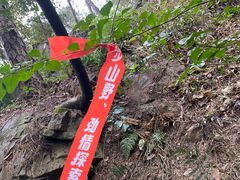 -铁山坪森林公园