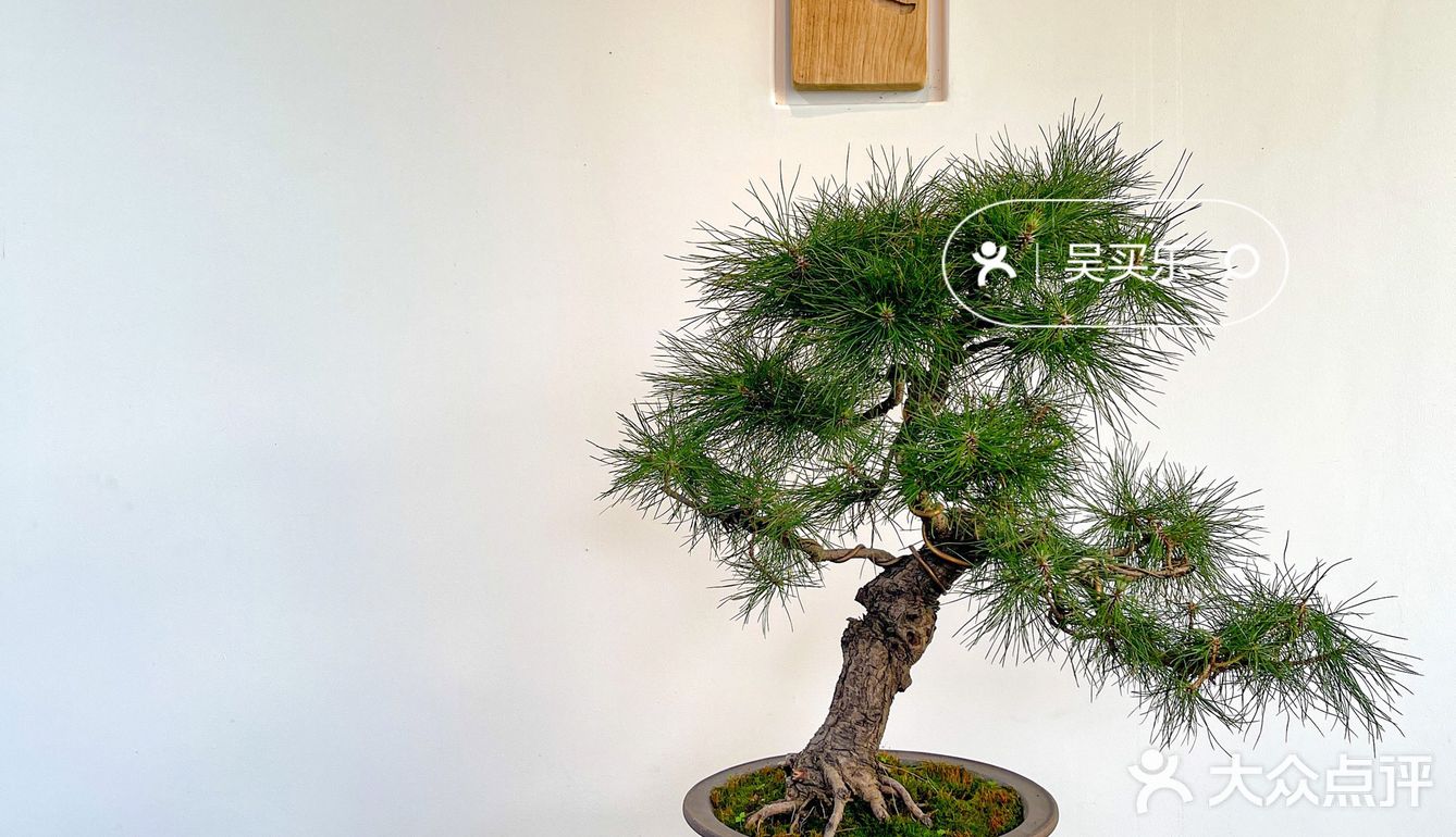 湘潭小京都🍵绝美打卡地‼️湖南环境最好餐厅