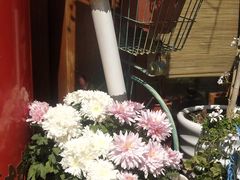 -木王宴语·野生鲜菌火锅(玉河店)