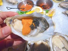 -囧吉香生蚝牛排馆(湖北路店)