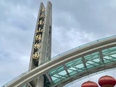 -南山植物园