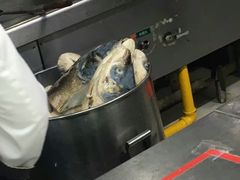 -北方馆(澳门伦敦人店)