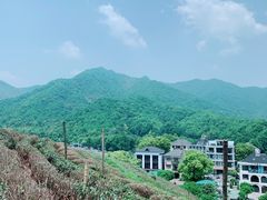 -龙坞茶村