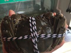 -小陆莲花蟹园农家乐(莲花岛店)