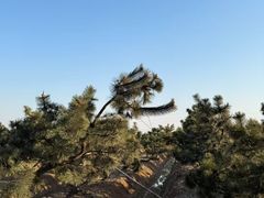 -宁波市保国寺古建筑博物馆