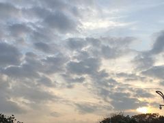 -深圳湾公园(南山区)
