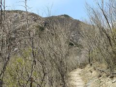 -阳台山自然风景区