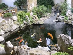 -鲤院·新中式美学·庭院餐厅(夫子庙店)