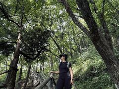 -牛背梁国家森林公园