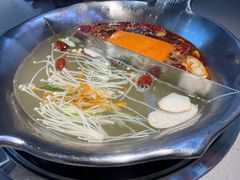 -渝大龙重庆火锅(温泉月亮湾店)