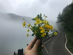 -武陵山森林公园
