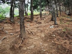 -阳台山自然风景区