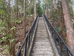 -番禺大夫山森林公园
