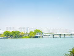-贡湖湾湿地公园