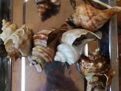-威海海鲜王(窑头路店)