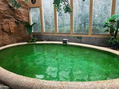 -御池园(顾村公园店)