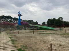 -秀丽东方