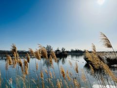 -野鸭湖国家湿地公园