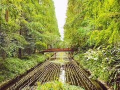 -东平国家森林公园