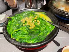 豌豆尖耙豌豆汤-陶德砂锅(蜀汉路店)