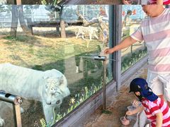 -西霞口神雕山野生动物世界