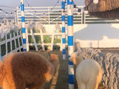 -Blue Concept Cafe&Farm·關於藍