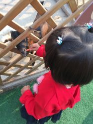 -萌宠亲子动物乐园(槐房万达店)