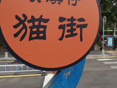 -猫咪博物馆(顶澳仔猫街店)