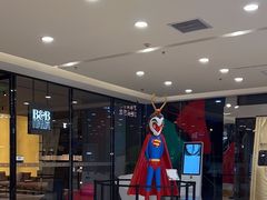 -红星美凯龙北京至尊MALL(东四环中路店)