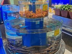 -新海渔港·胶东海鲜家常菜·家宴(奥体中心店)