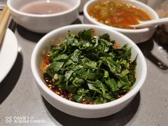 -海底捞火锅(方塔东街店)