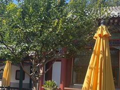 -宫事颐庭·老佛爷贵寿下午茶(颐和园店)