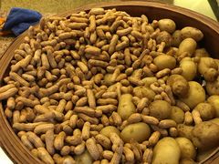 -美食小镇·观赏珍稀鸟类·长隆熊猫酒店