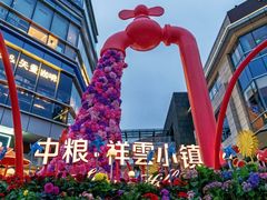 -中粮·祥云小镇