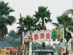 -空港花田景区
