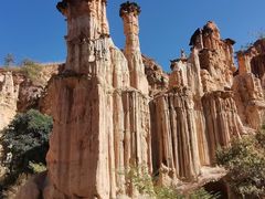-元谋土林景区(物茂土林)