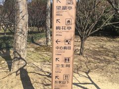 -香雪海