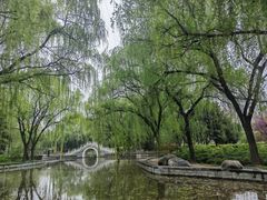 -洛阳市隋唐城遗址植物园