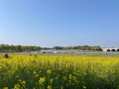 -阳澄湖半岛旅游度假区