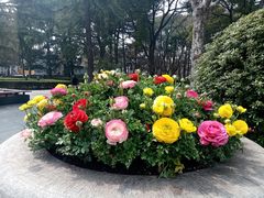 -苏州公园(双塔街道)